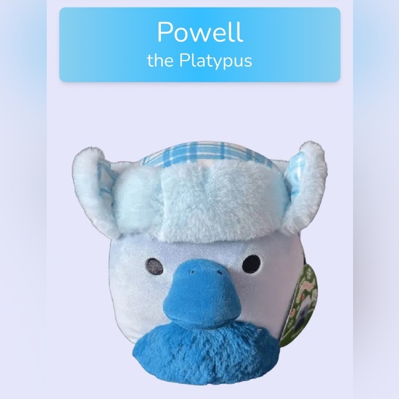 Squishmallow Powell The Platypus - Picture 10 of 10